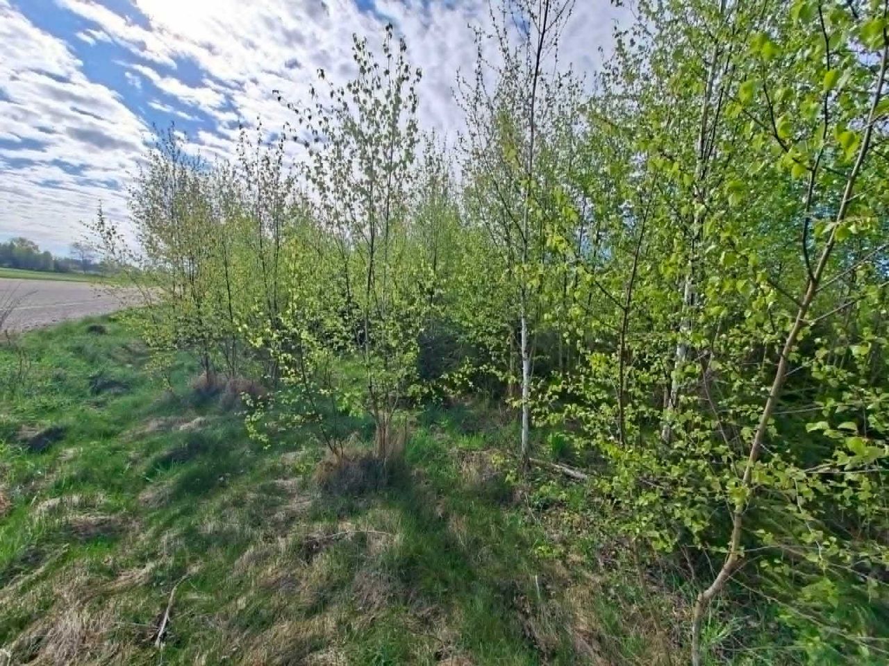 Działka rolna Szczepanów. Zdjęcie 8