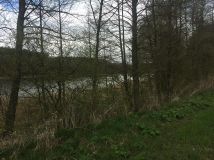 Działka budowlana Stary Sumin. Zdjęcie 2