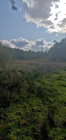 Działka inwestycyjna Bobrowska Wola. Zdjęcie 1