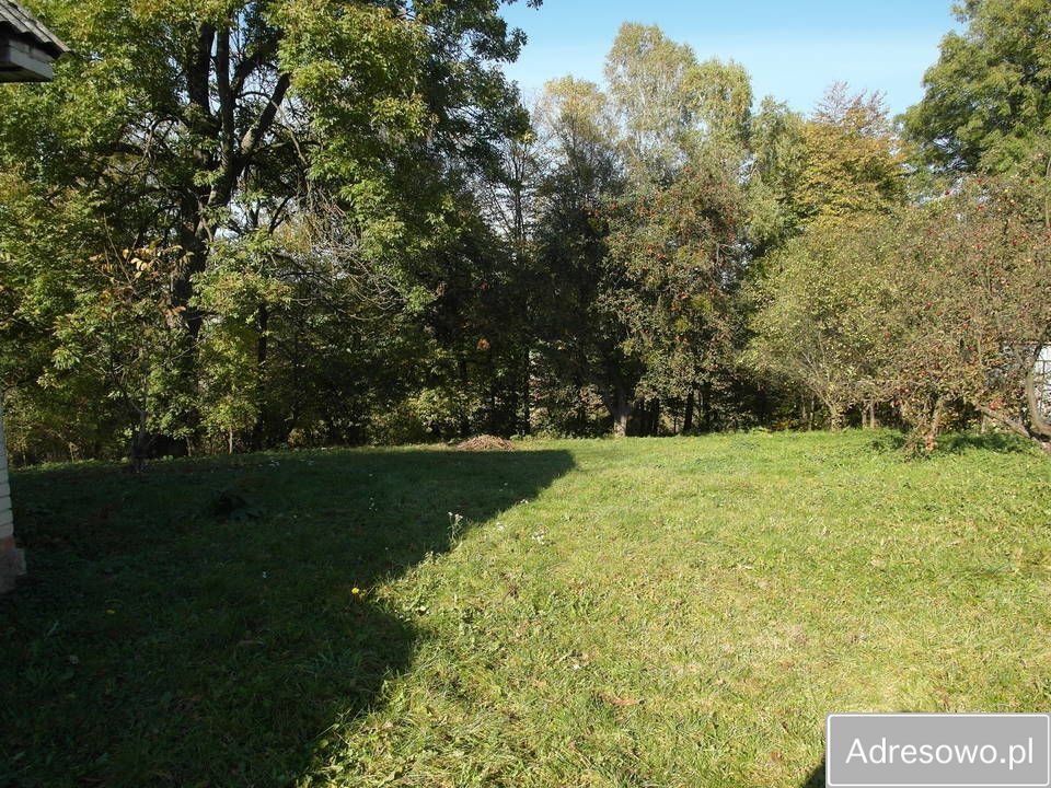 siedlisko Grabowiec-Góra. Zdjęcie 12