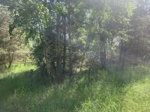 Działka budowlana Falęcice. Zdjęcie 1