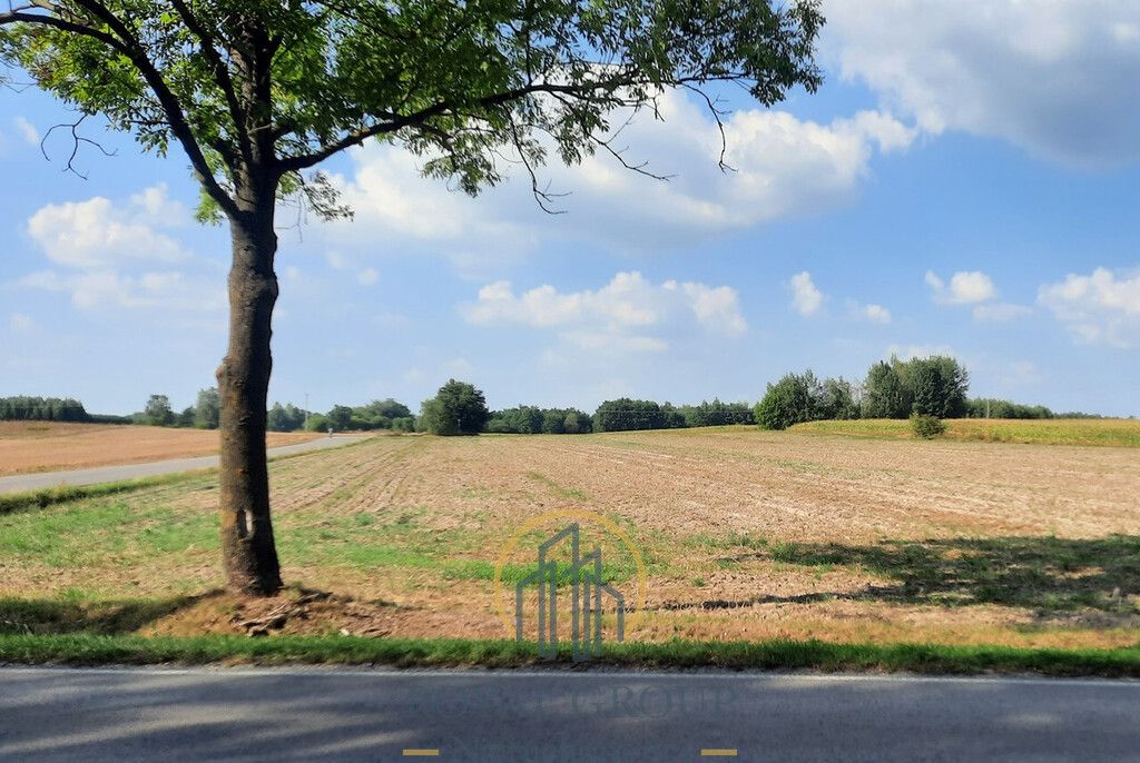 Działka rolna Rudno. Zdjęcie 7