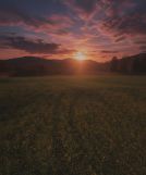 Działka budowlana Przenosza. Zdjęcie 2