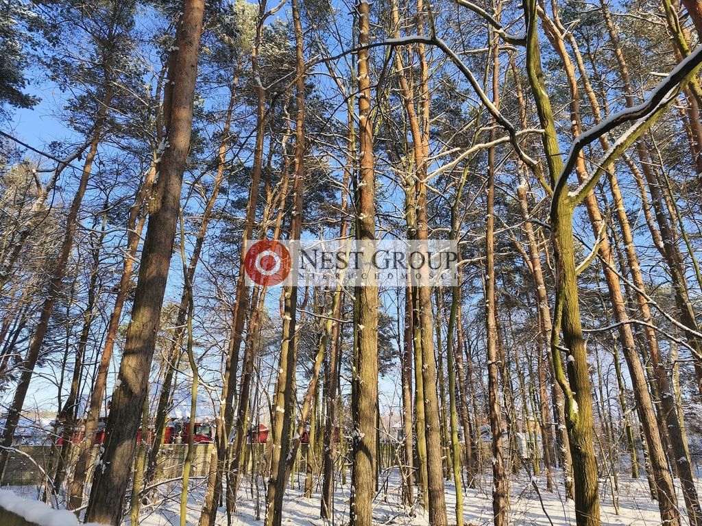 Działka budowlana Nowy Janków, ul. Wołomińska. Zdjęcie 16