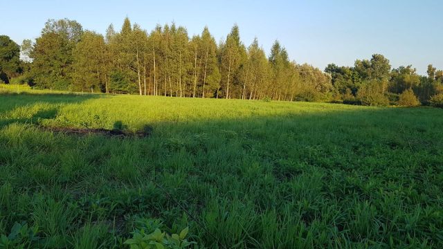 Działka budowlana Gorlice. Zdjęcie 1