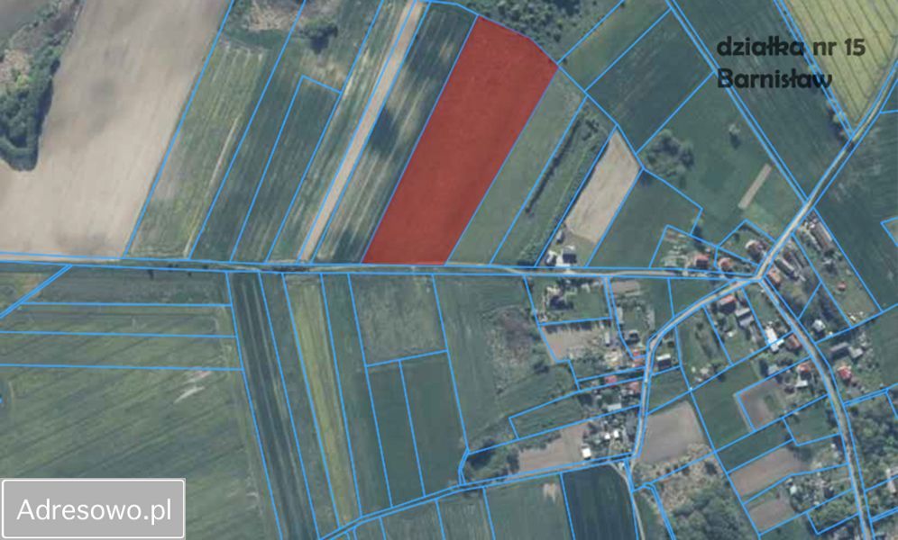 Działka inwestycyjna Barnisław. Zdjęcie 8
