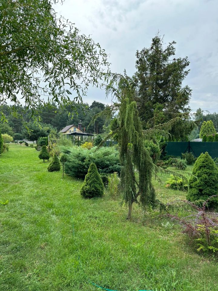 Działka budowlana Świerczyna. Zdjęcie 26