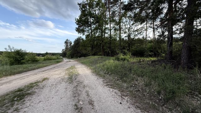 Działka budowlana Ostrowo Rusin. Zdjęcie 9