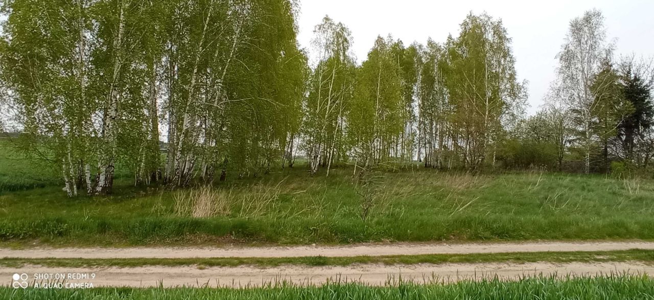 Działka budowlana Dąbrówka. Zdjęcie 2