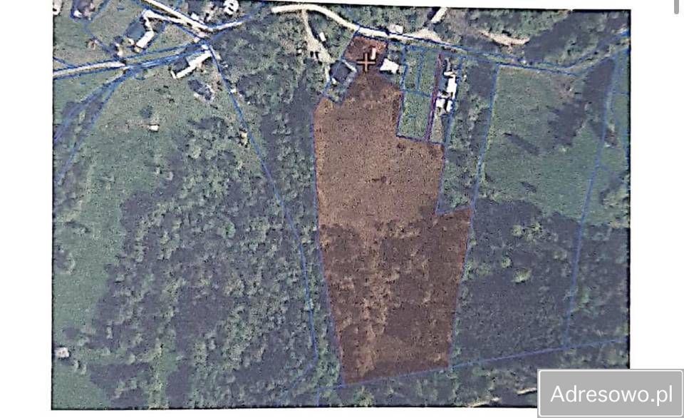 dom wolnostojący, 5 pokoi Szlachtowa. Zdjęcie 2