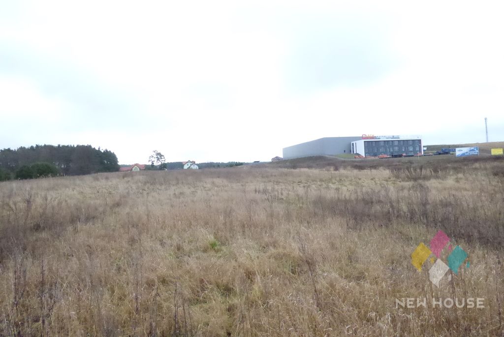 Działka inwestycyjna Dorotowo. Zdjęcie 4