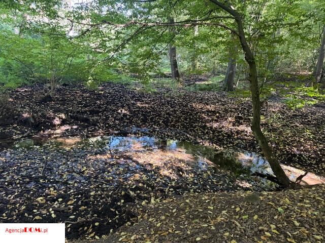 Działka budowlana Siestrzeń. Zdjęcie 9