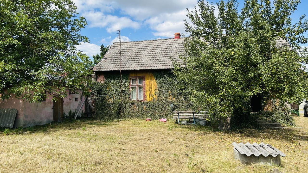 Działka rolna Czarnca, ul. Słoneczna. Zdjęcie 4