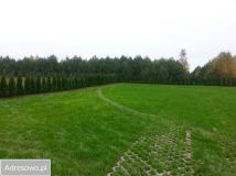 Działka budowlana Sulęczyno, ul. Lawendowa