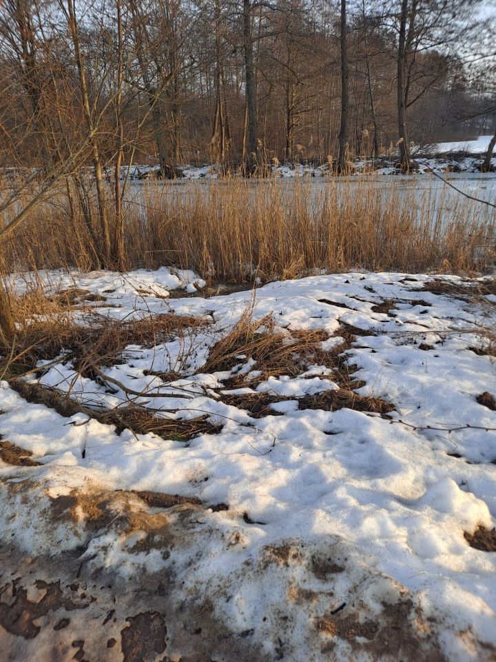 Działka budowlana Dębinka. Zdjęcie 8