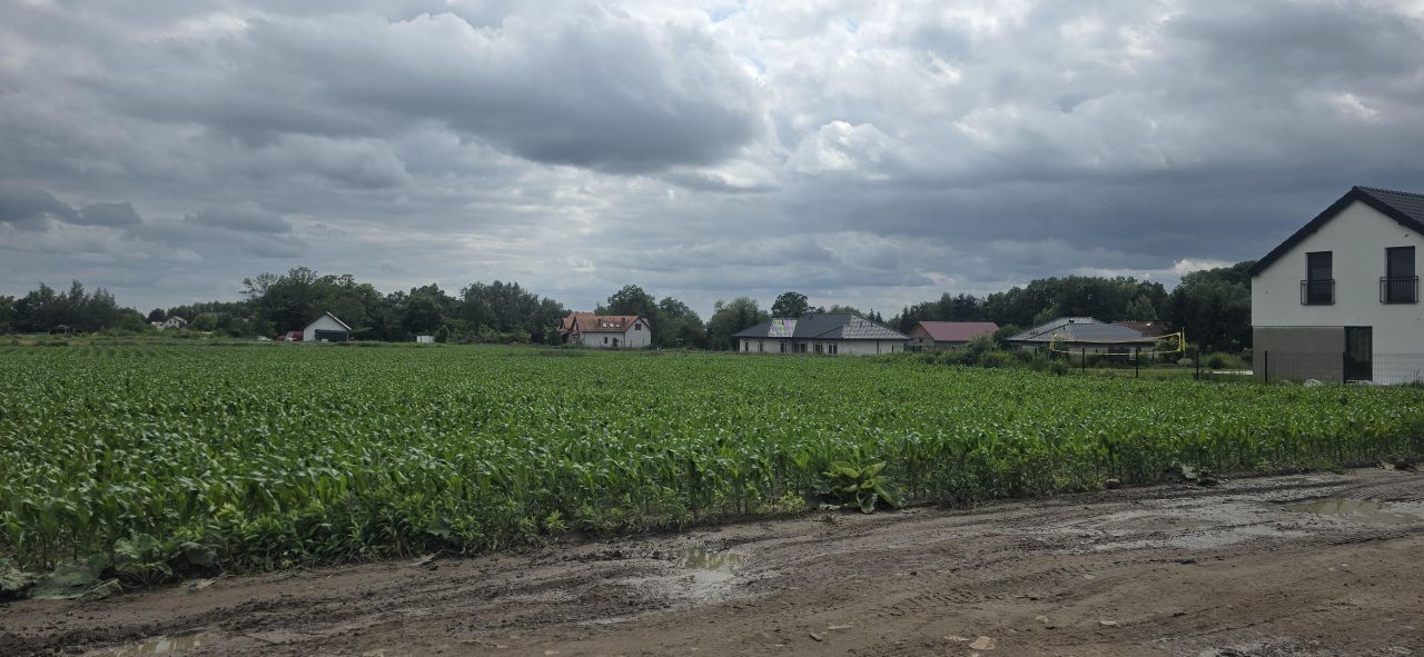 Działka budowlana Rogoż, ul. Zacisze. Zdjęcie 4