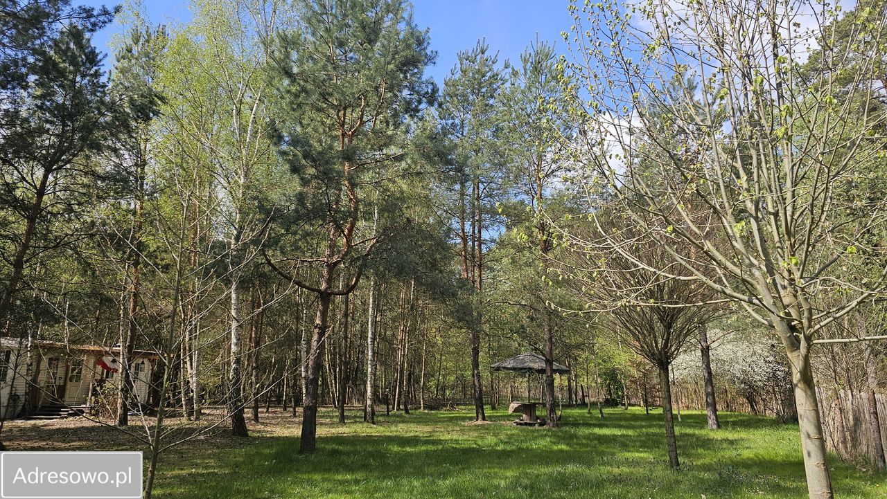 Działka budowlana Piskórka, ul. Jagodowa. Zdjęcie 3