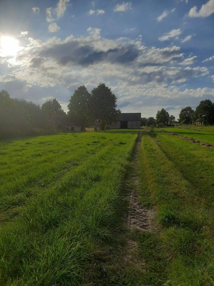 Działka budowlana Ostrów Mazowiecka. Zdjęcie 4