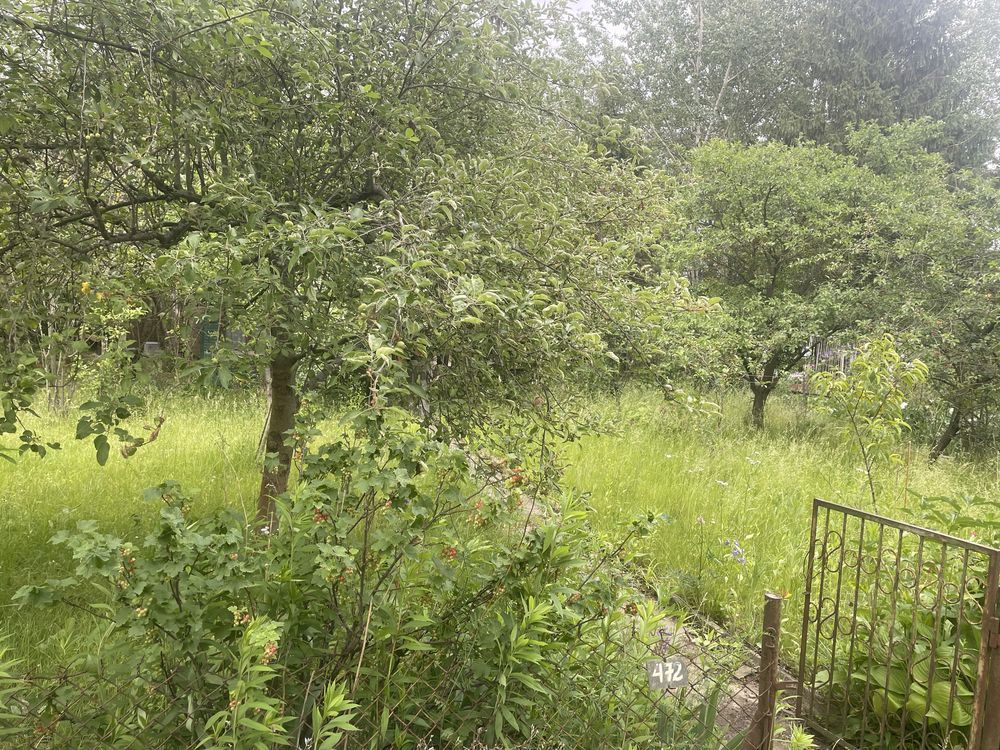 Działka rod Warszawa Siekierki, ul. Nadrzeczna. Zdjęcie 8