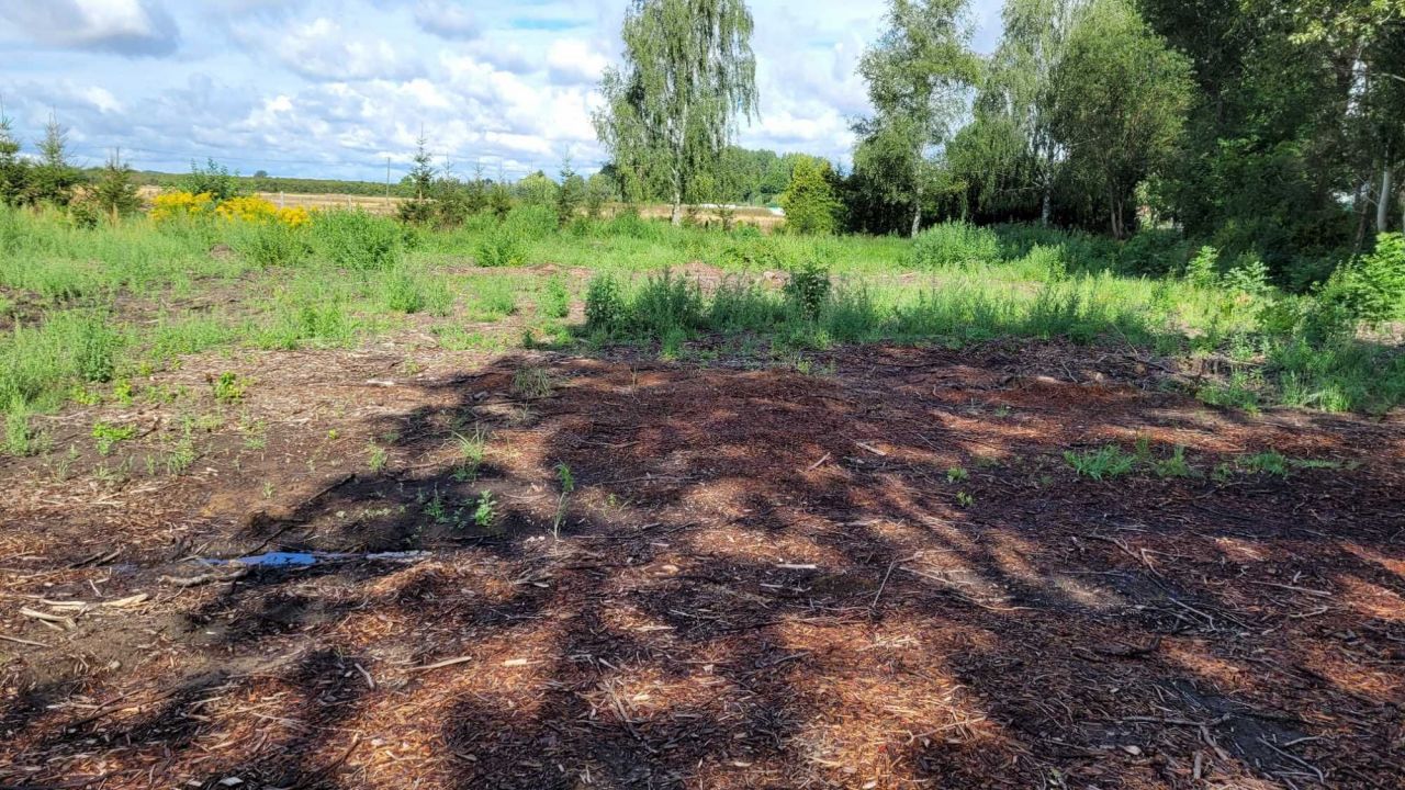 Działka budowlana Deszczno. Zdjęcie 5