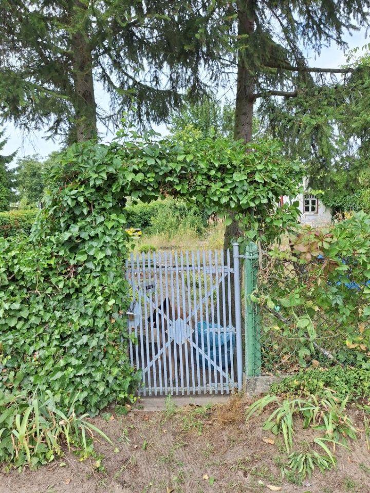 Działka rod Szczecin Pogodno, ul. Mieczysława Karłowicza. Zdjęcie 3