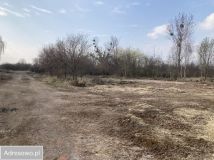 Działka inwestycyjna Rakoszyce. Zdjęcie 3