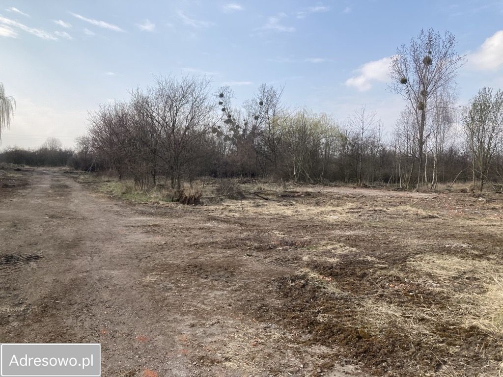 Działka inwestycyjna Rakoszyce. Zdjęcie 4