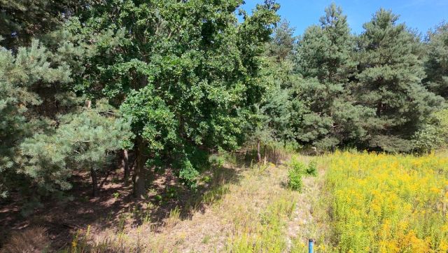 Działka budowlana Kady. Zdjęcie 16