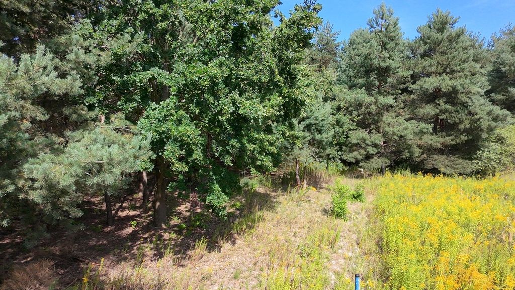 Działka budowlana Kady. Zdjęcie 16