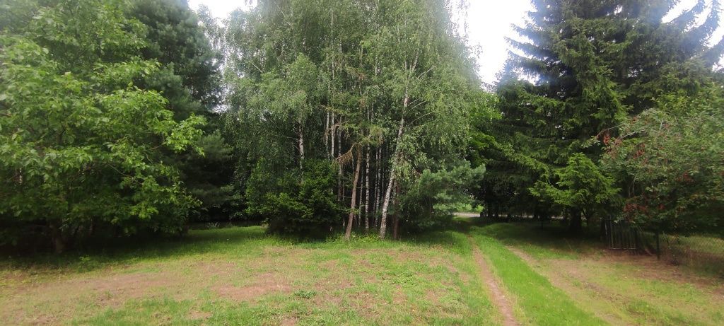 siedlisko Goryń. Zdjęcie 8