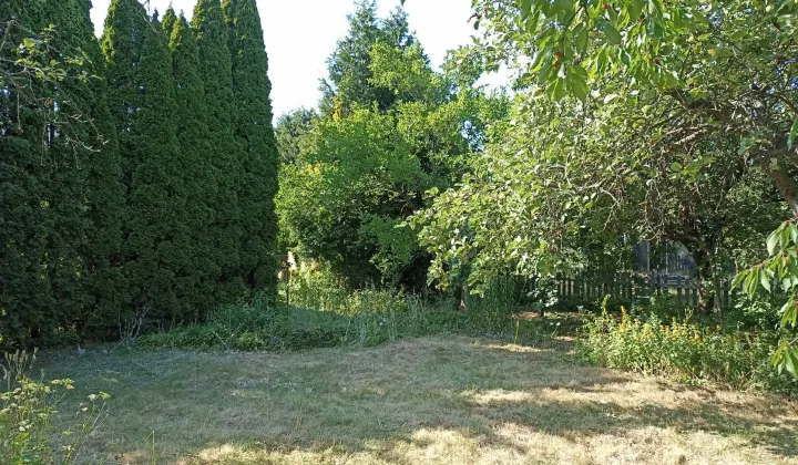 Działka rod Poznań Jeżyce, ul. Bukowska