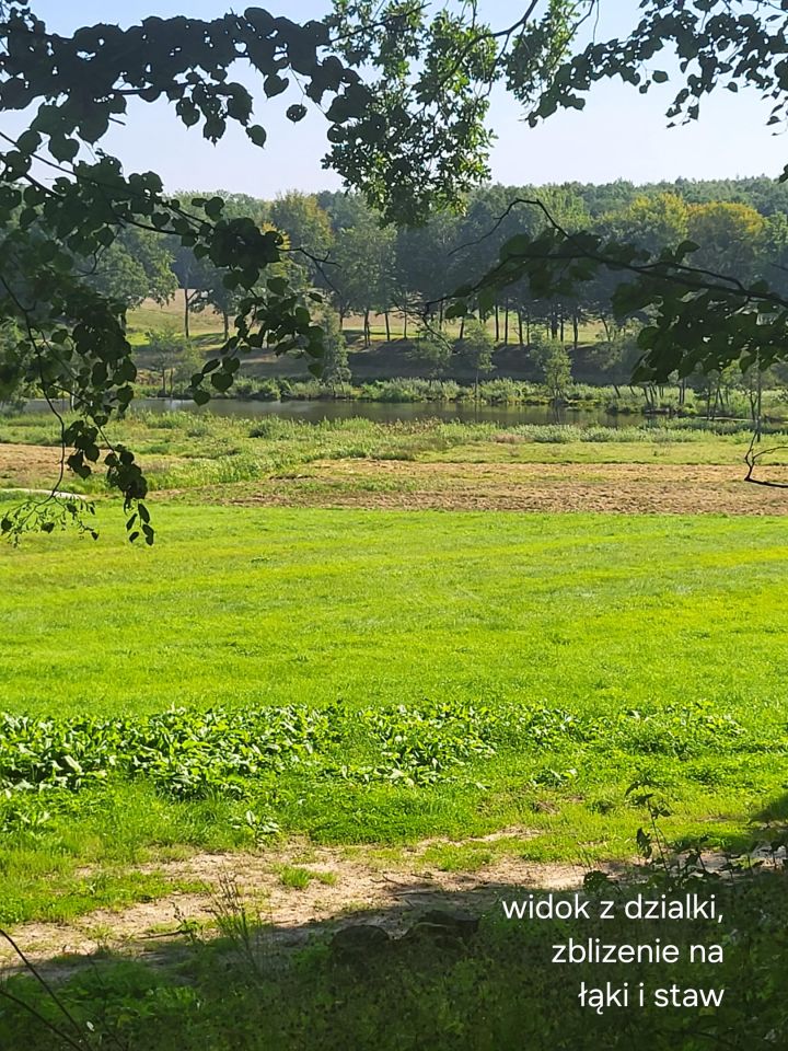 Działka budowlana Wielin. Zdjęcie 8