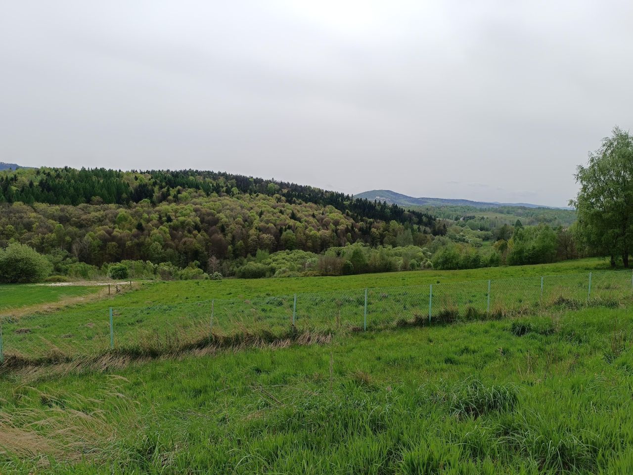 Działka rolno-budowlana Zarzyce Wielkie. Zdjęcie 7