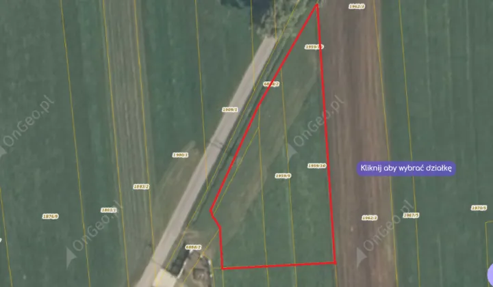 Działka budowlana Czerwienne Morawy, Morawy