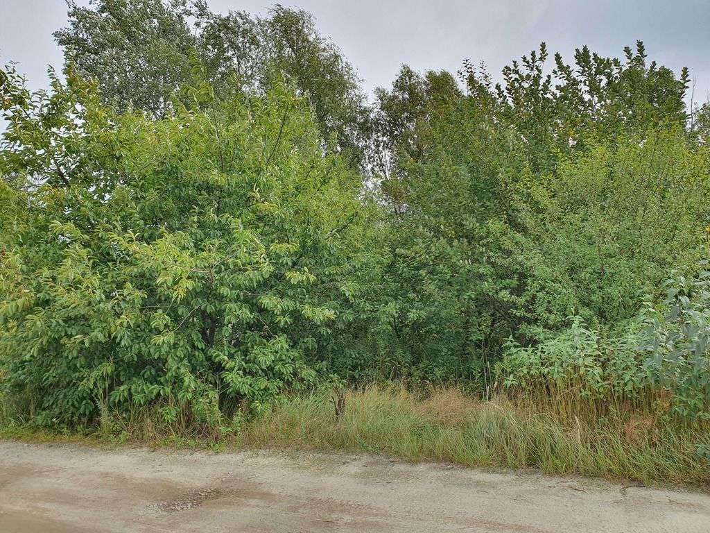 Działka inwestycyjna Wrocław Strachowice, ul. Jerzmanowska. Zdjęcie 10