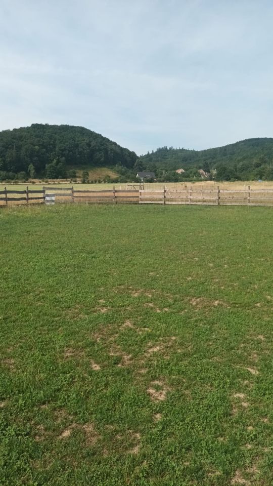 Działka budowlana Mikołajów. Zdjęcie 2