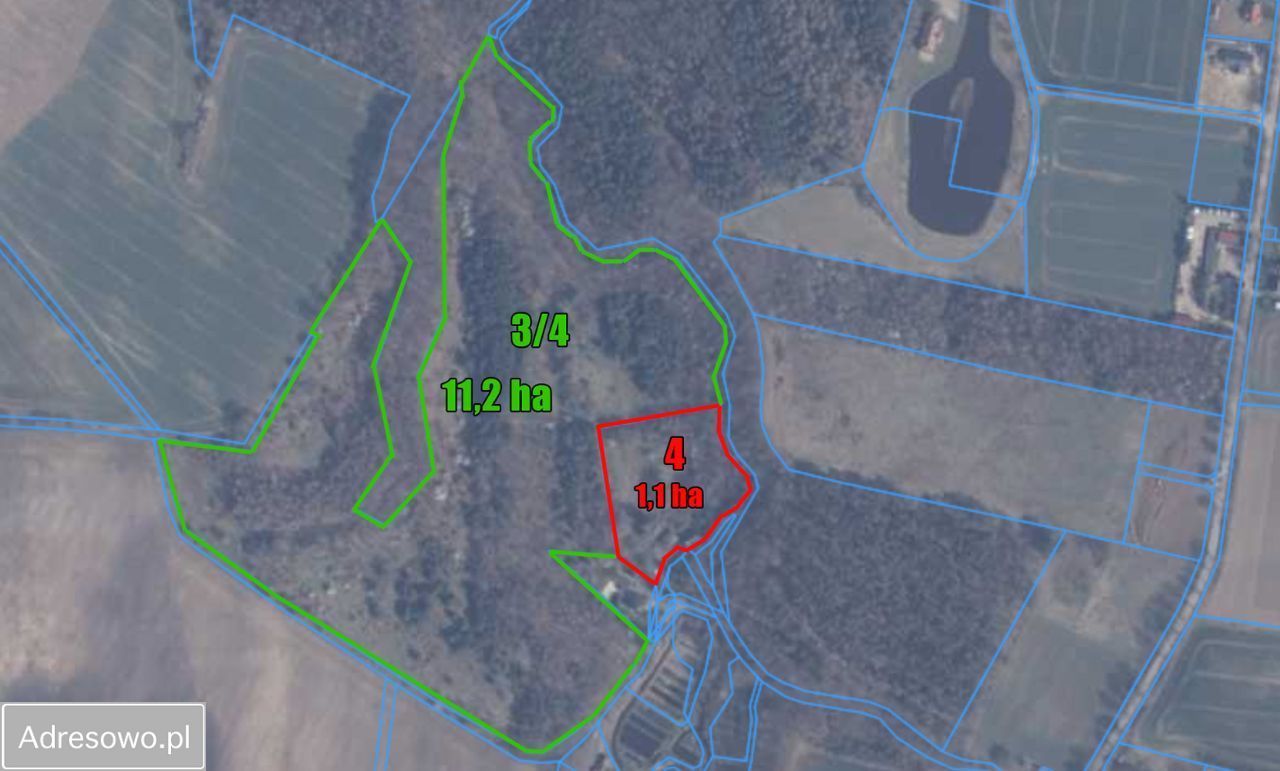 dom wolnostojący, 5 pokoi Bychowo. Zdjęcie 5