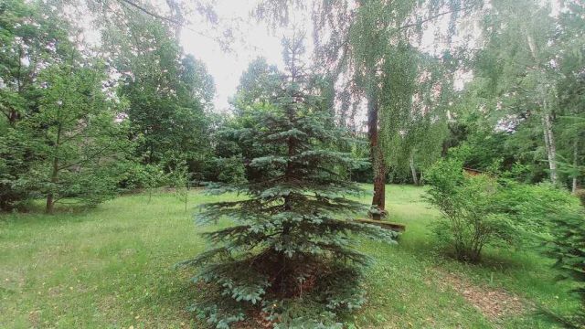 Działka budowlana Złotokłos. Zdjęcie 21