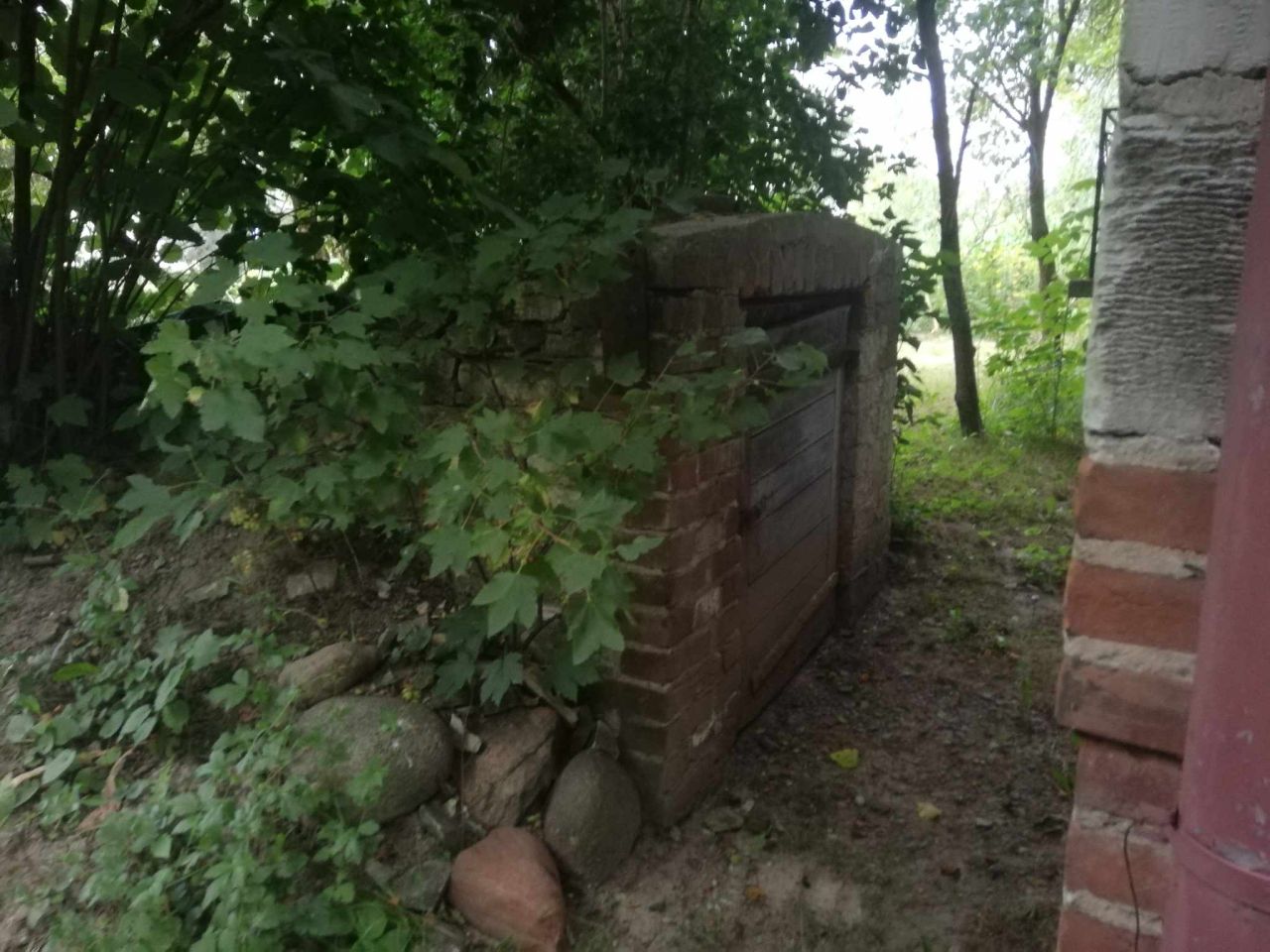 dom wolnostojący, 5 pokoi Borzechów-Kolonia. Zdjęcie 7