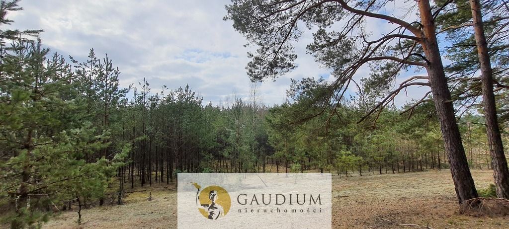 Działka budowlana Czersk, ul. Tucholska. Zdjęcie 8
