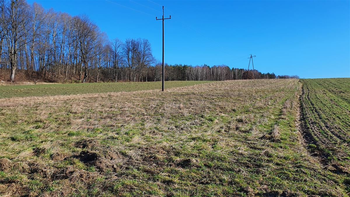 Działka budowlana Zaspy Małe. Zdjęcie 12