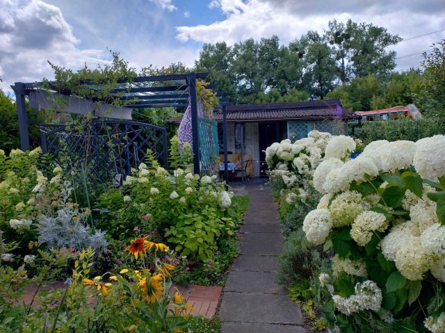 Działka rod Bytom, ul. Strzelców Bytomskich. Zdjęcie 1