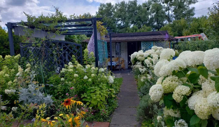 Działka rod Bytom, ul. Strzelców Bytomskich