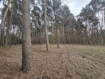 Działka budowlana Jaktorów. Zdjęcie 4