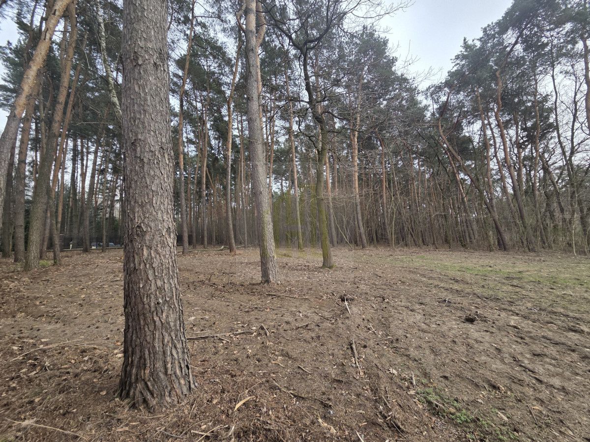 Działka budowlana Jaktorów. Zdjęcie 6