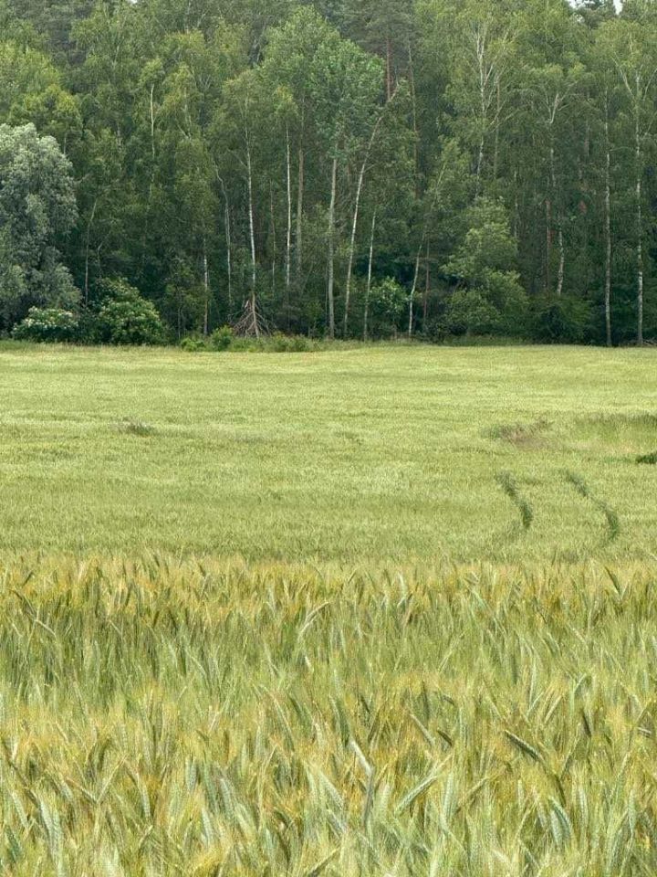 Działka rolna Szkudaj. Zdjęcie 3