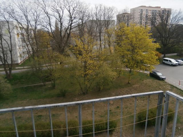 Mieszkanie 3-pokojowe Zielona Góra. Zdjęcie 8