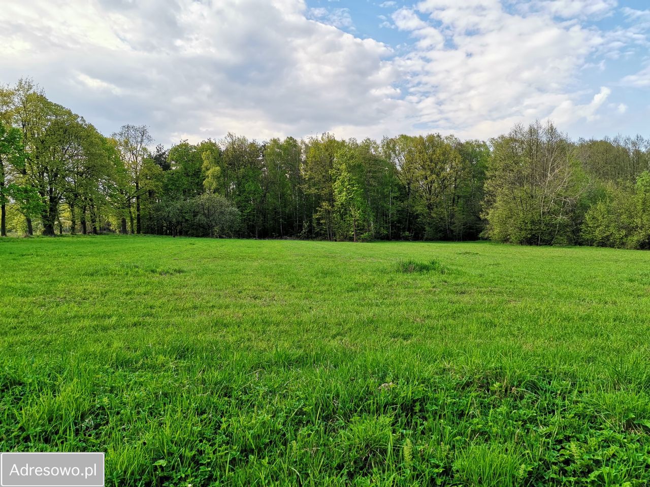 Działka siedliskowa Sobolew, ul. Żelechowska. Zdjęcie 3