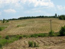 Działka inwestycyjna Lublica. Zdjęcie 3