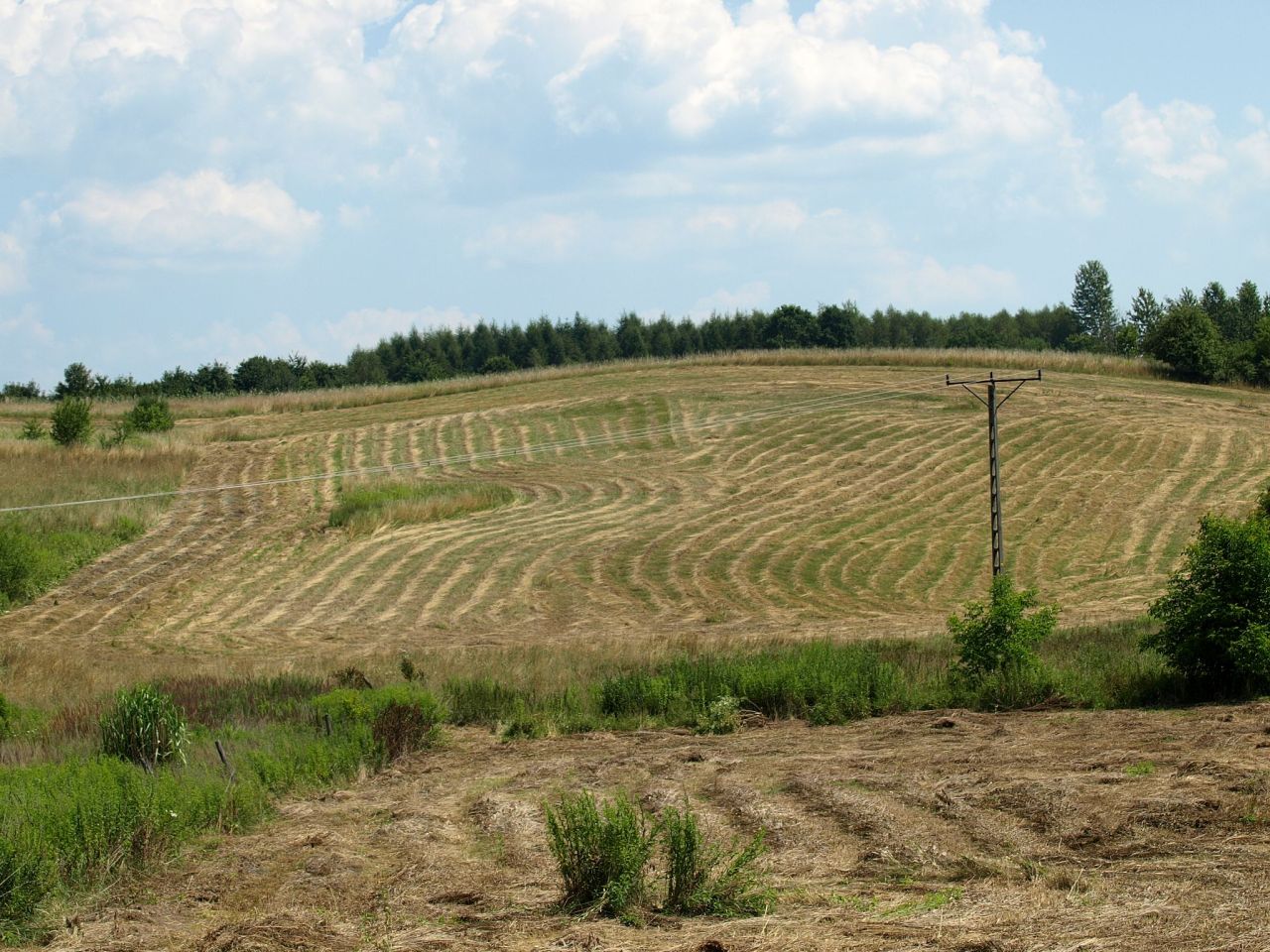 Działka inwestycyjna Lublica. Zdjęcie 4